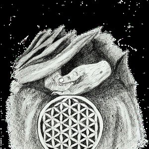 Avatar for The Ancient Secret of the Flower of Life