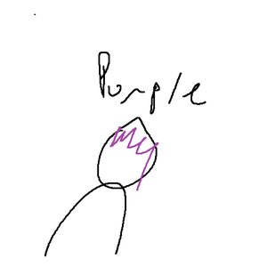 Purpl