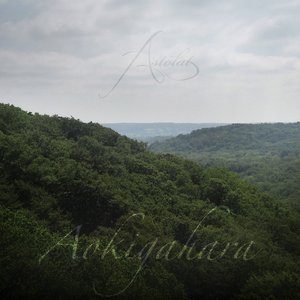 Aokigahara