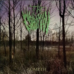 The Grassman Cometh