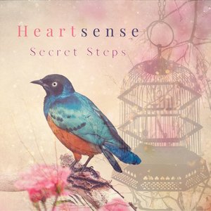 Secret Steps