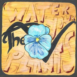 Water Your Plants