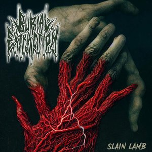Slain Lamb