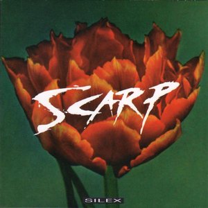 Scarp