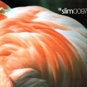 Slim 0097