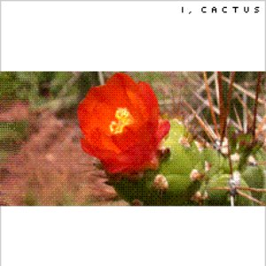 I, Cactus