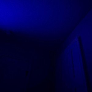 stay for the night