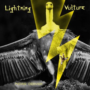 Lightning Vulture