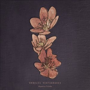 Árboles vertebrados 的头像