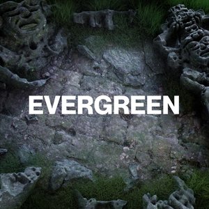 Evergreen - Single
