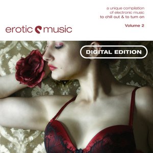 Immagine per 'Erotic Music Volume 2'