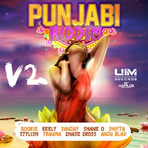 Punjabi Riddim Vol. 2