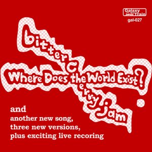 Where Does the World Exist ?