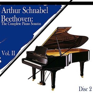 Beethoven: The Complete Piano Sonatas, Vol. II (Disc 2)