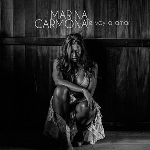 Te Voy a Amar - Single
