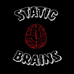 Static Brains 的头像