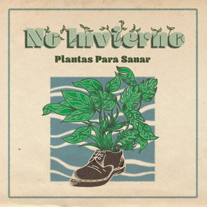 Plantas Para Sanar