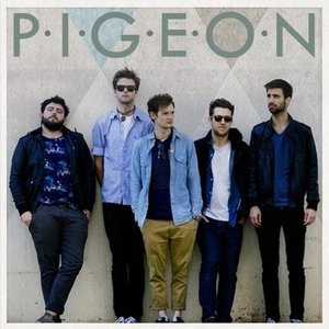 PIGEON (official) 的头像