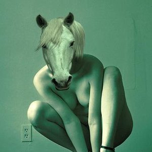 Horse Gives Birth To Fly 的头像