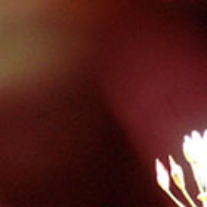 Articulations