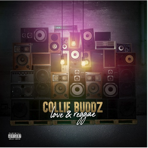 Collie Buddz - Love & Reggae - Zortam Music
