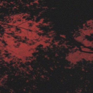 Avalanche - Single