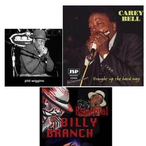 Carey Bell, Billy Branch, Phil Wiggins 的头像