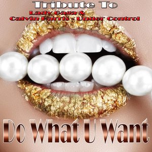 Do What U Want / Under Control: Tribute to Lady Gaga, Calvin Harris