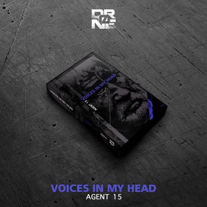 Voices In My Head