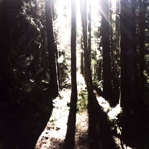 Untitled VI