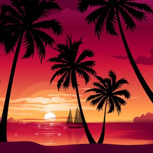 Sunset Coast 的头像