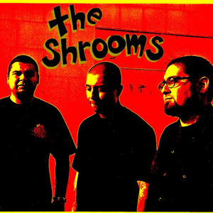 The Shrooms photo provided by Last.fm