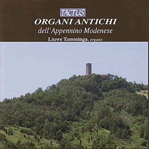 Organi Antichi dell'Appennino Modenese