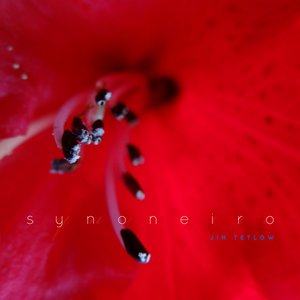 Synoneiro