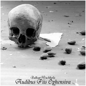 Audibus Piis Ophensiva