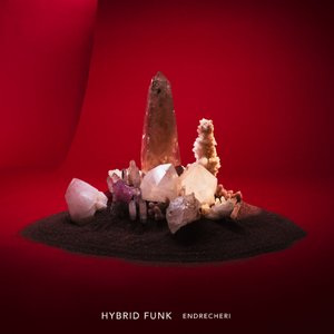 HYBRID FUNK
