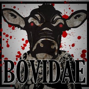 Avatar for Bovidae