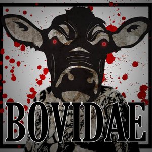 Image for 'Bovidae'