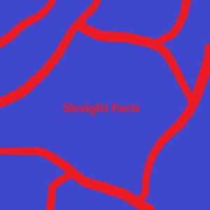 Straight Facts - Single