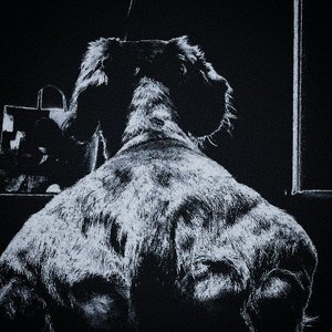 Avatar de Obscurité Rouge