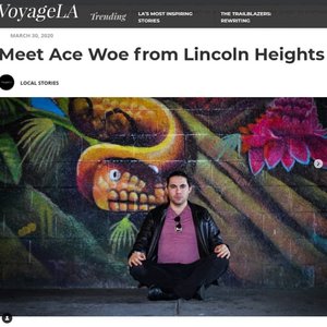 “ace woe”的封面