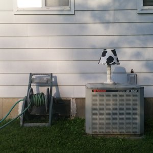 Cowlamp Unplugged