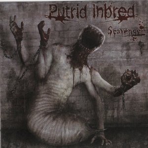 Putrid Inbred のアバター