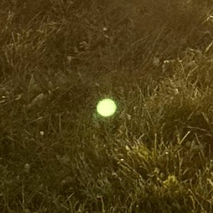 [untitled]