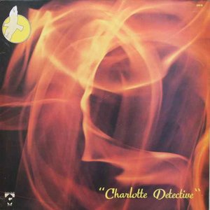 Flash Resonance: Charlotte Detective