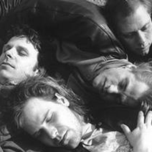 Die Regierung photo provided by Last.fm