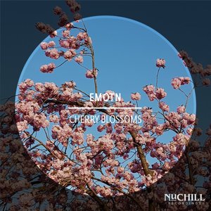 Cherry Blossoms - Single