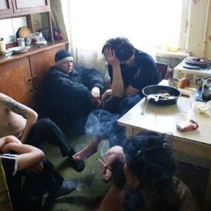 Лица животных 的头像