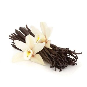 Smooth Vanilla 的头像