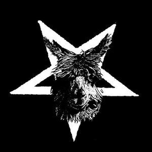 Avatar for Llamahead